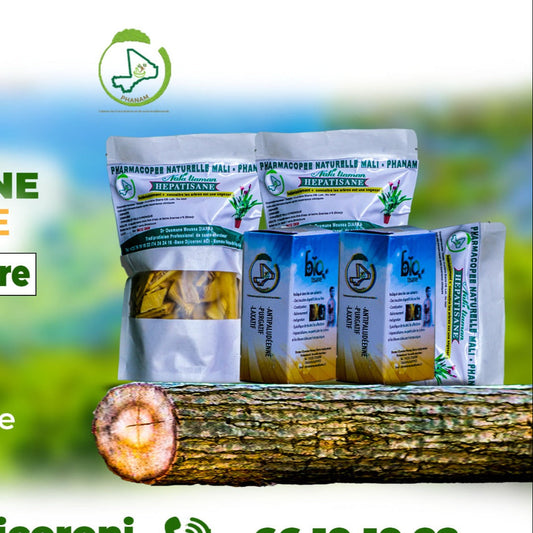 KIT HEPATISANE